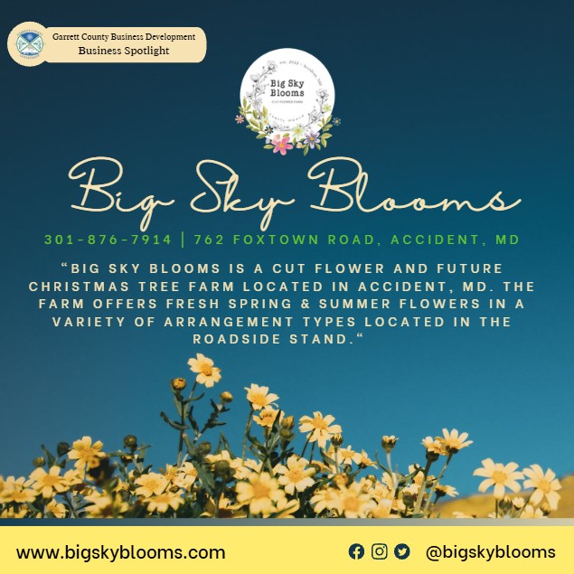 Todays Business Spotlight 🌼 is on Big Sky Blooms!
Visit them at www.bigskyblooms.com or Big Sky Blooms
Follow us to see more daily Garrett County Business Spotlights!
If you are interested in having your business featured contact Connor Norman at cnorman@garrettcountymd.gov. #businessdevelopment #garrettcountymd